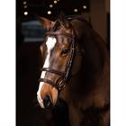 Bridon Kudos Double Noseband LeMieux Marron-doré