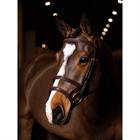 Bridon Kudos Double Noseband LeMieux Marron-doré
