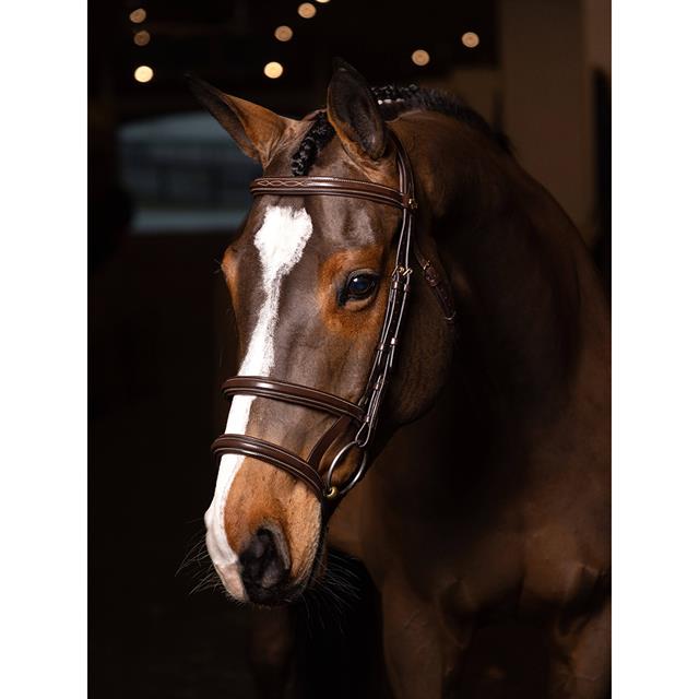 Bridon Kudos Double Noseband LeMieux Marron-doré