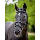 Bridon Kudos Double Noseband LeMieux Noir-argenté