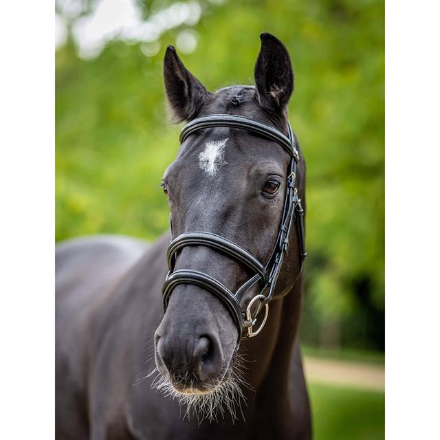 Bridon Kudos Double Noseband LeMieux Noir-argenté