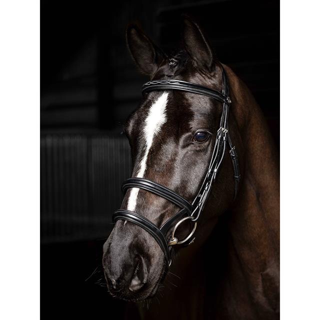 Bridon Kudos Double Noseband LeMieux Noir-argenté
