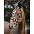 Bridon Kudos Dressage Lak LeMieux Marron-blanc