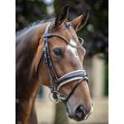 Bridon Kudos Dressage Lak LeMieux Marron-blanc