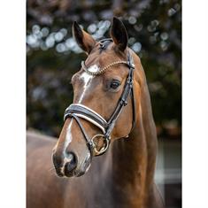 Bridon Kudos Dressage Lak LeMieux Marron-blanc