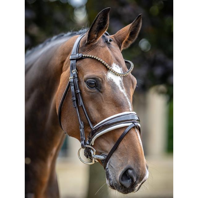 Bridon Kudos Dressage Lak LeMieux Marron-blanc