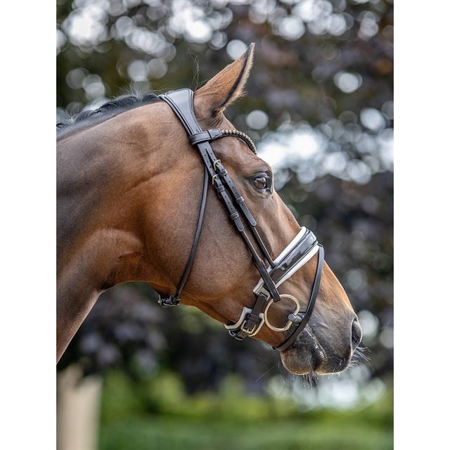 Bridon Kudos Dressage Lak LeMieux Marron-blanc