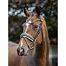 Bridon Kudos Dressage Lak LeMieux Marron-blanc