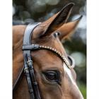Bridon Kudos Dressage Lak LeMieux Marron-marron
