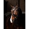 Bridon Kudos Dressage Lak LeMieux Marron-marron