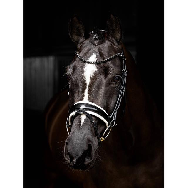 Bridon Kudos Dressage Lak LeMieux Noir-blanc