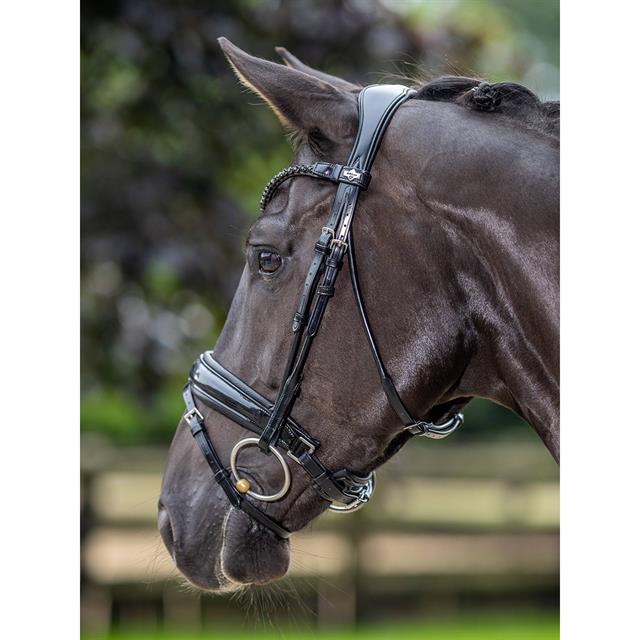 Bridon Kudos Dressage Lak LeMieux Noir-noir