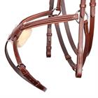 Bridon Mexican Harry's Horse Marron