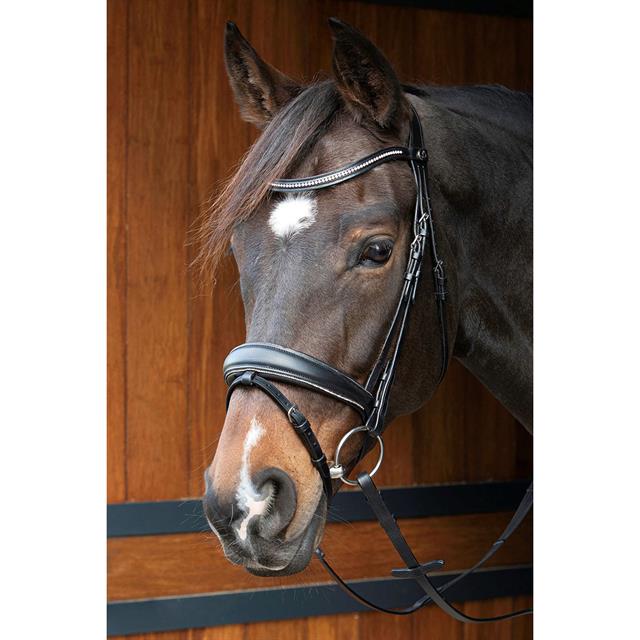 Bridon Petit Crystal Harry's Horse Noir