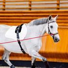Bridon Rambo Micklem Multi Bridle 2.0 Marron