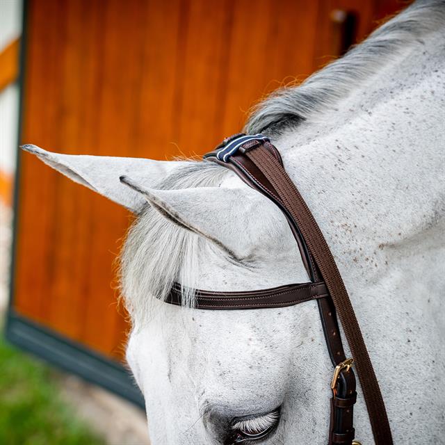 Bridon Rambo Micklem Multi Bridle 2.0 Marron