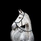 Bridon Rambo Micklem Multi Bridle 2.0 Noir
