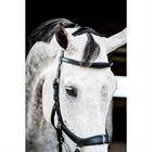 Bridon Rambo Micklem Multi Bridle 2.0 Noir