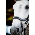 Bridon Rambo Micklem Multi Bridle 2.0 Noir