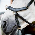 Bridon Rambo Micklem Multi Bridle 2.0 Noir