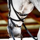 Bridon Rambo Micklem Multi Bridle 2.0 Noir