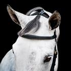 Bridon Rambo Micklem Multi Bridle 2.0 Noir