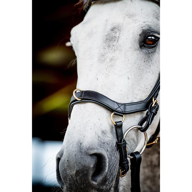 Bridon Rambo Micklem Multi Bridle 2.0 Noir