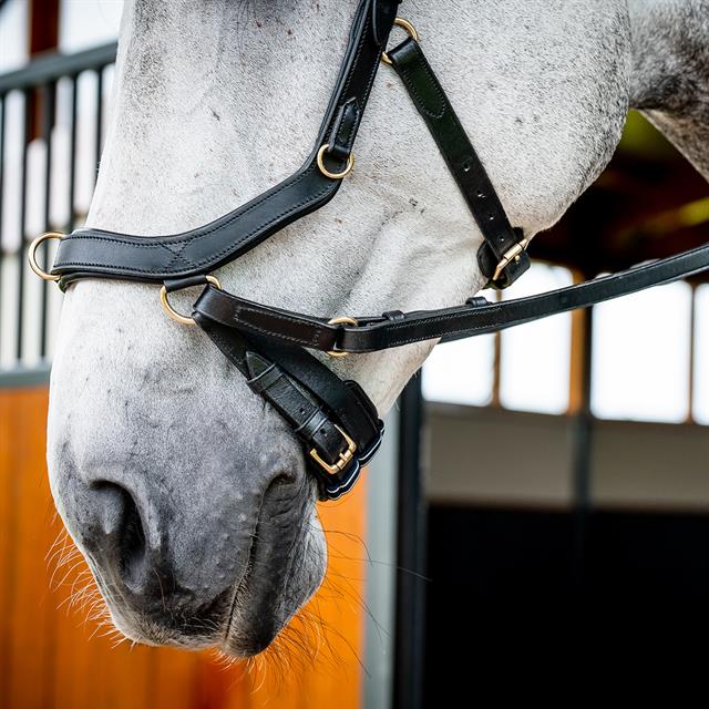 Bridon Rambo Micklem Multi Bridle 2.0 Noir