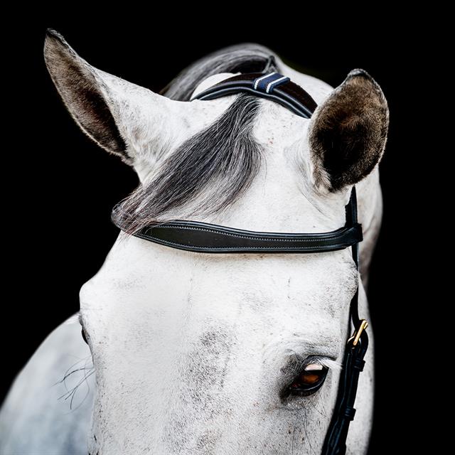 Bridon Rambo Micklem Multi Bridle 2.0 Noir