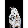Bridon Rambo Micklem Multi Bridle 2.0 Noir