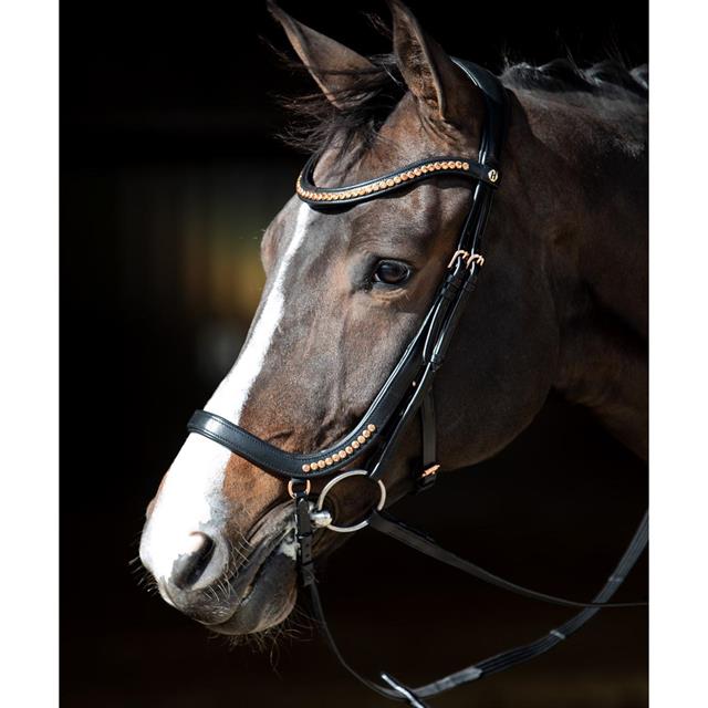 Bridon Rosegold Anatomic Harry's Horse Noir-doré