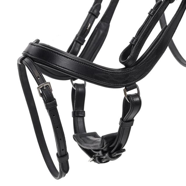 Bridon Salerno QHP Noir