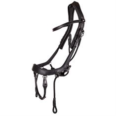 Bridon sans mors FaySport PresTeq Noir