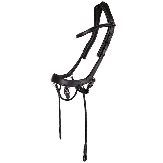 Bridon sans mors FaySport PresTeq Noir