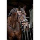 Bridon Showtime Golden Dreams HB Noir-doré