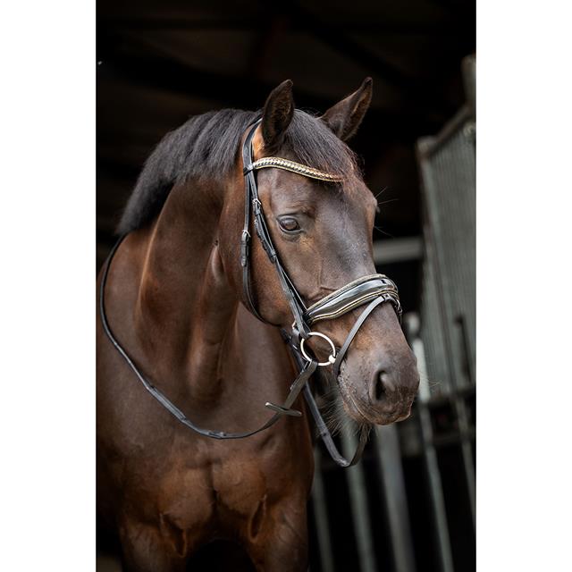 Bridon Showtime Golden Dreams HB Noir-doré