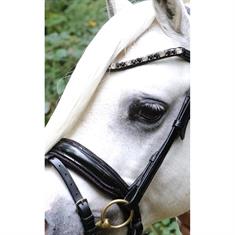 Bridon Showtime Special A-Pony HB Noir-rouge