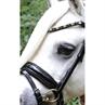 Bridon Showtime Special A-Pony HB Noir-rouge