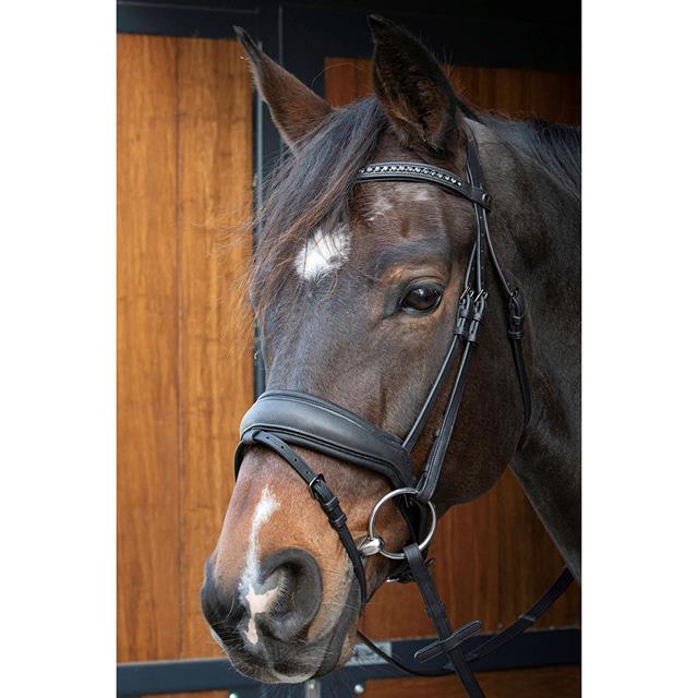 Bridon Soft Bombastic Black Edition Harry's Horse Noir