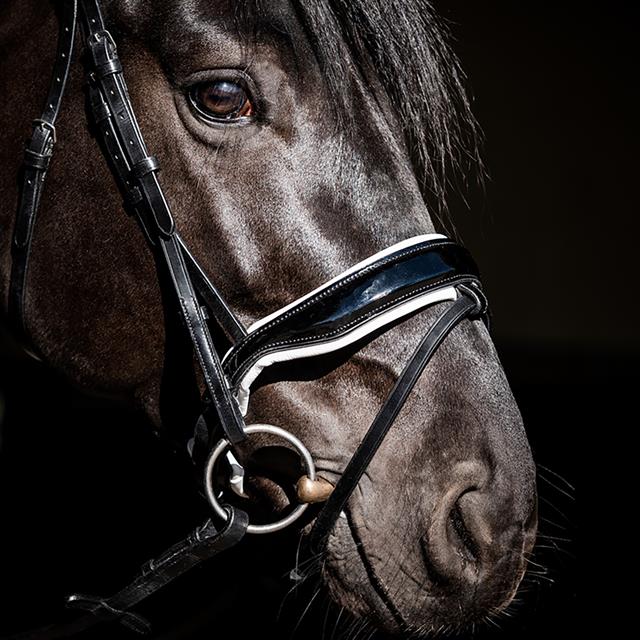 Bridon Special Guy HB Noir-blanc