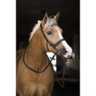 Bridon Styx HORSEGEAR Marron