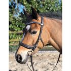 Bridon Styx HORSEGEAR Marron