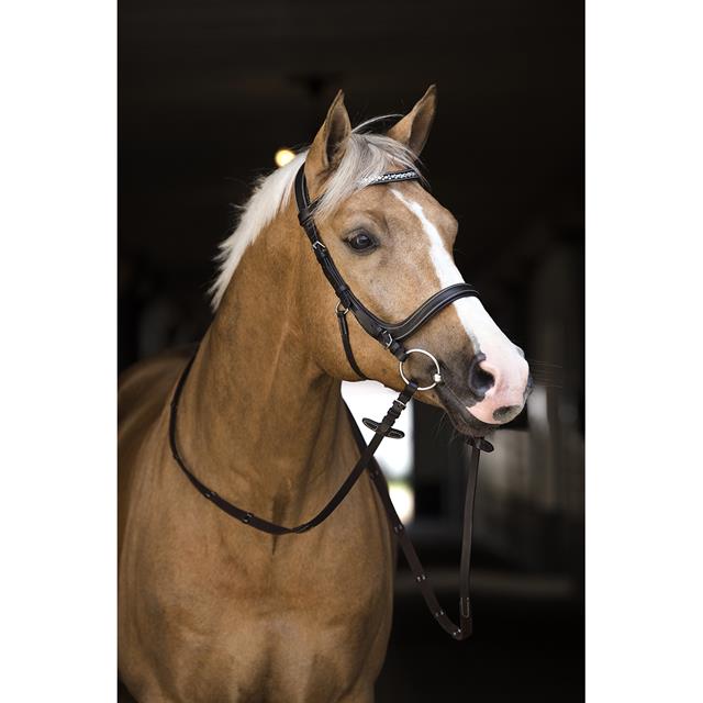Bridon Styx HORSEGEAR Marron