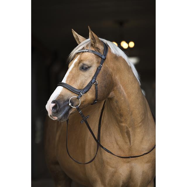 Bridon Styx HORSEGEAR Marron