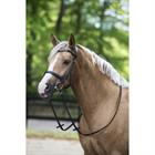 Bridon Styx HORSEGEAR Noir