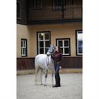 Bridon Styx HORSEGEAR Noir