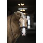 Bridon Taron HORSEGEAR Marron