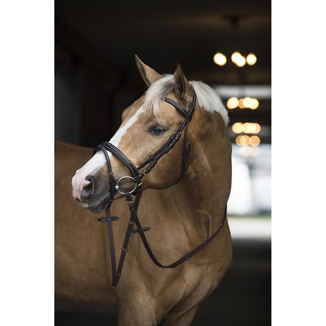 Bridon Taron Horsegear Marron