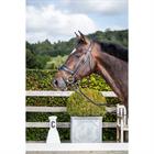 Bridon à muserolle combiné large Dressage Cuir Plat by Dy'on Noir