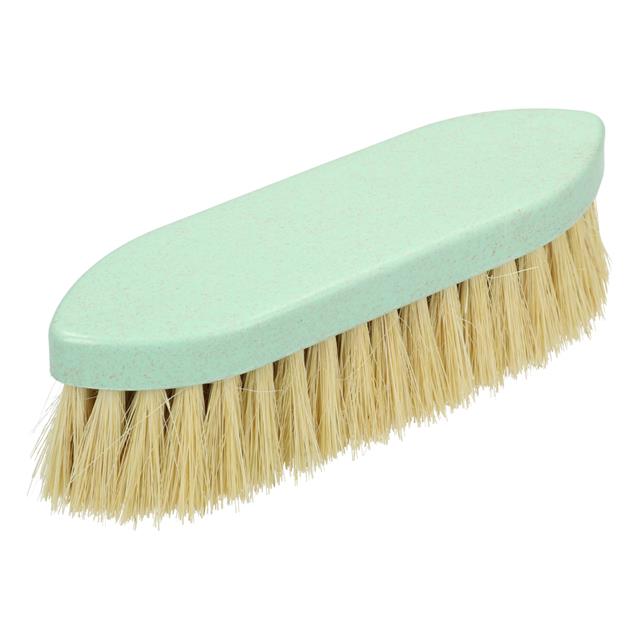 Brosse dure Eco Friendly Epplejeck Vert